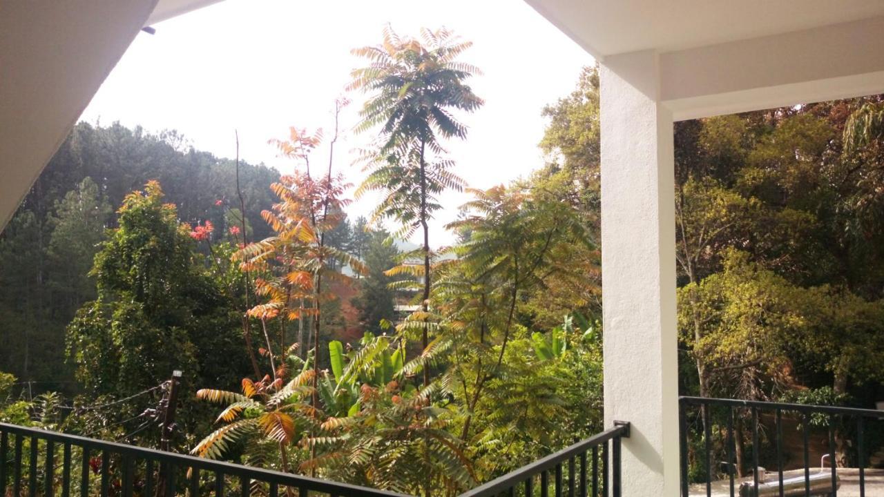 Misty Elegance - Ella. Hotel Ngoại thất bức ảnh